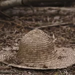 Camponeses em Massapê anseiam a fundação do Assentamento Nestor Makhno