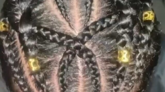 Fotos Exemplos Aquariana Braids (1)