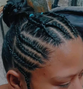 aquariana braids 2