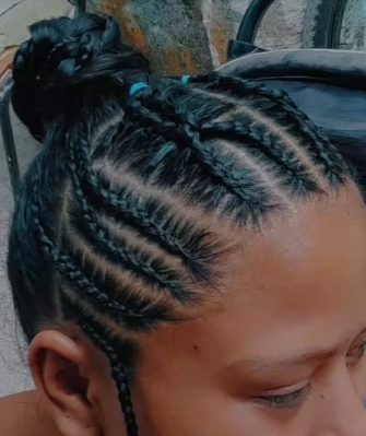 aquariana braids 2